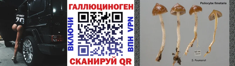 Галлюциногенные грибы мухоморы  это официальный сайт  ссылка на мегу вход  Барыш  магазин   